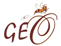 Logo-gaufre-geo